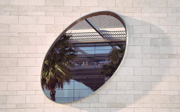 wall-mirror-palm-trees