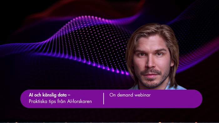 Birger, AI-forskare, håller webinar om AI kopplat till offentlig sektor
