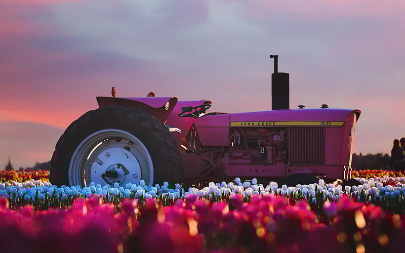 backlit-dawn-evening-693857-1