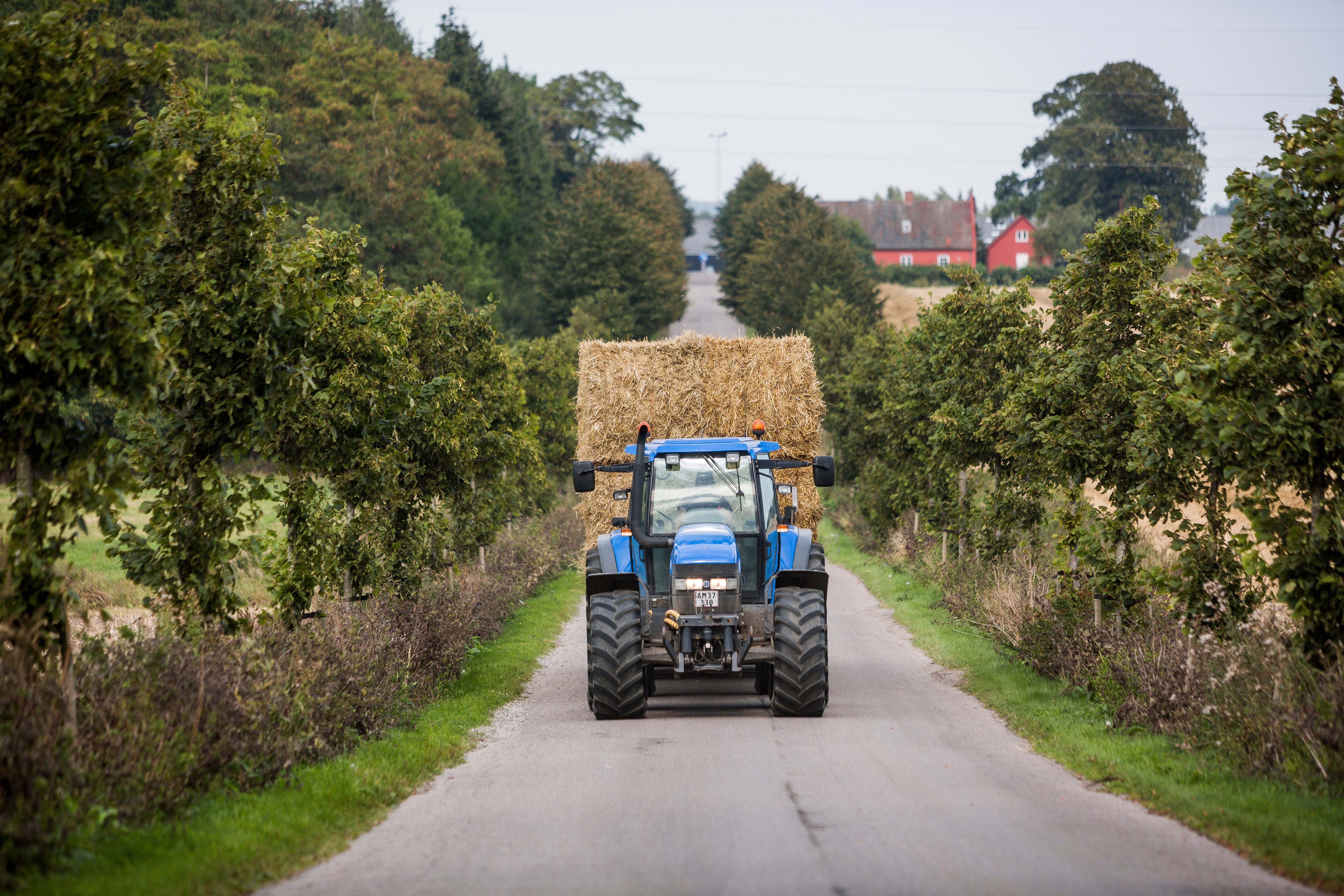 halmtransport_og_hoest